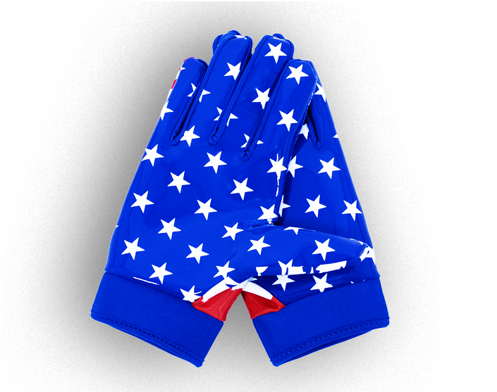 PALMS-USA_0.75x.png