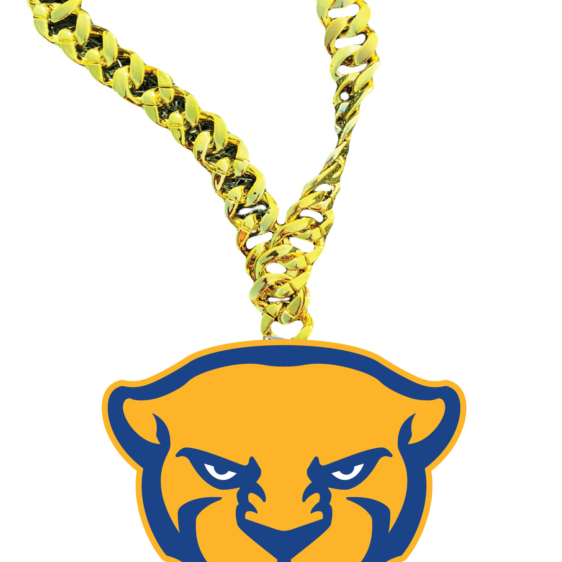 PITT.png