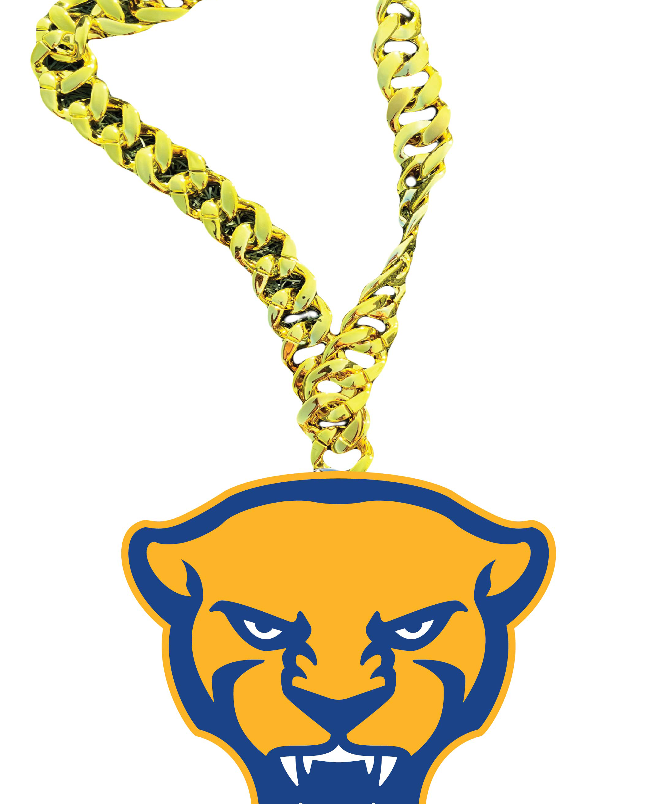 PITT.png